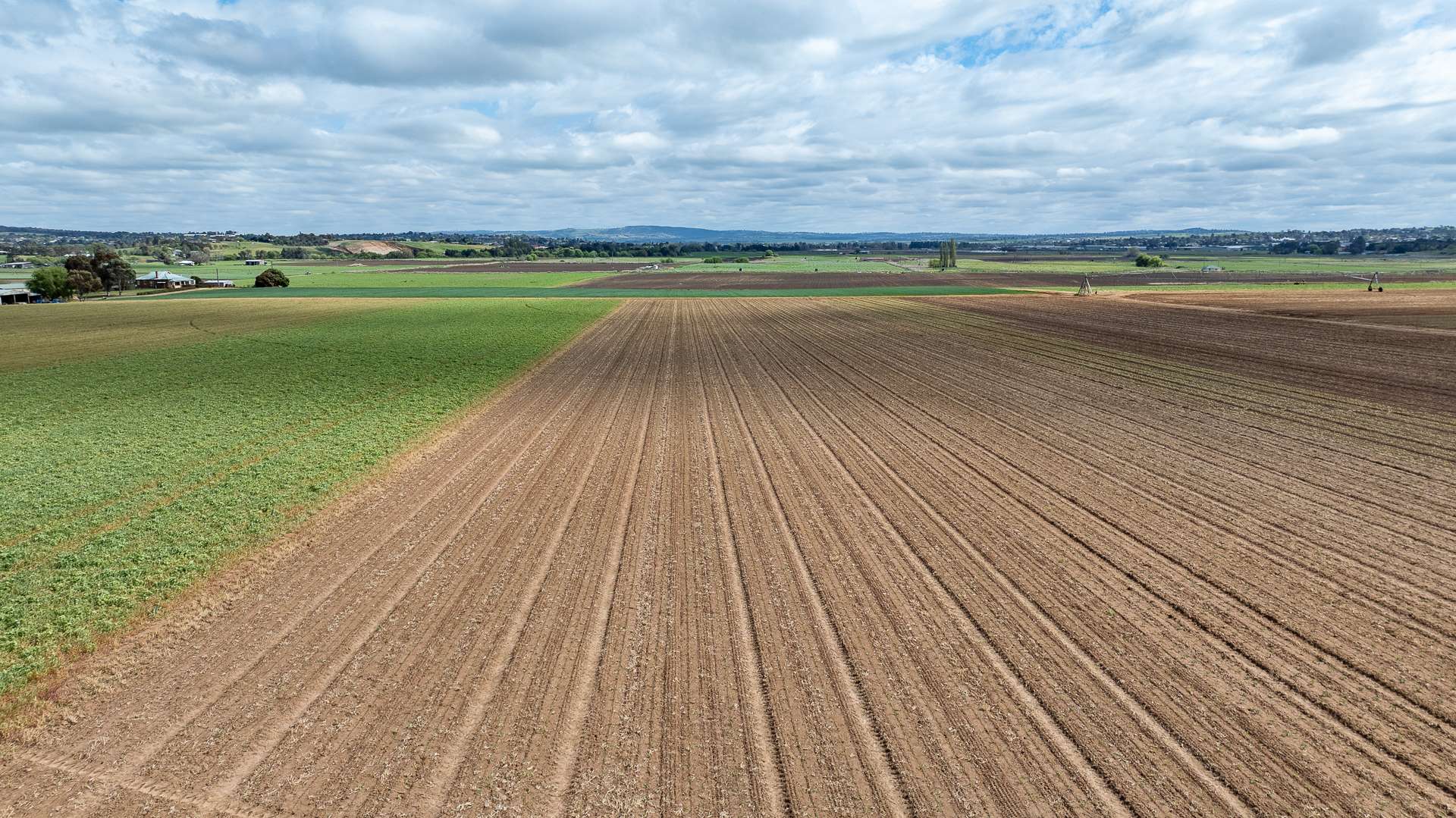 Aerial view of a cultivated paddock with tramlines running to the horizon